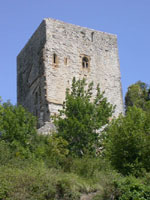 Puivert